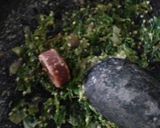 Foto langkah ke 3 dari resep Pindang cue cabe ijo+pete.