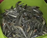 Foto del paso 1 de la receta: Cornalitos fritos