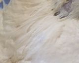 Une image de l'étape 7 de Beignets 🍩.