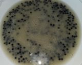Foto del paso 4 de la receta: Bacalao fresco en su jugo con huevas de lumpus