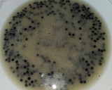 Foto del paso 4 de la receta: Bacalao fresco en su jugo con huevas de lumpus