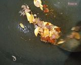 Foto langkah ke 3 dari resep Rabuk ikan.