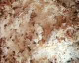 A picture of step 4 of Soya vadi pakoda.