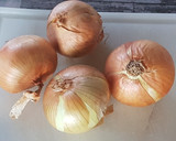 Foto del paso 4 de la receta: Torcaces al estilo Bávaro