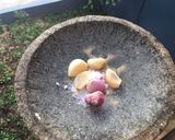 Foto langkah ke 3 dari resep Mie Telur (Tek-Tek).