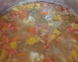 Foto del paso 4 de la receta: Sopa de lentejas y verduras