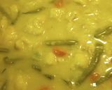 A picture of step 11 of Chicken Vegetable Stew with Dumplings.