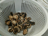 Sup Segar 3 Jamur (enoki, merang, dan kuping)
