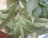A picture of step 1 of Bitterleaf soup.