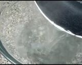 A picture of step 1 of Pomegranate jello Panna cotta dessert|| quick and easy.