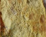 Foto del passaggio 2 della ricetta Rotolo di frittata