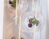 Foto del paso 1 de la receta: Cocktail de ginebra, bitter kas y romero