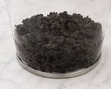 Foto langkah ke 4 dari resep Oreo Chocolate Cheese Dessert Box | Budget friendly.
