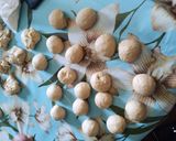 Foto del paso 9 de la receta: Conchas de chocolate y vainilla