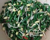 Foto langkah ke 3 dari resep Tumis Kacang Panjang & Kecambah Kedelai.