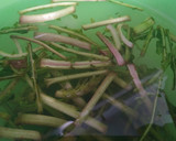 Foto del paso 1 de la receta: Tagarninas esparragás