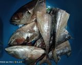 Foto langkah ke 1 dari resep Ikan Goreng.