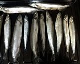烤柳葉魚（烤箱）的食譜步驟4照片