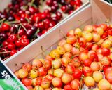 Hình bước làm 3 của món 🌱 Cháo Yến Mạch Ca Cao Topping Cherry Trắng (Vegan)