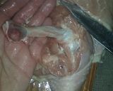 Foto del paso 7 de la receta: Pollo deshuesado