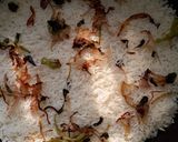 A picture of step 7 of Egg Biryani -My style.