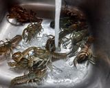 Foto del paso 1 de la receta: Caldillo de camarones de tierra