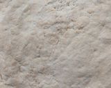 A picture of step 1 of My best ever Margherita Pizza.
