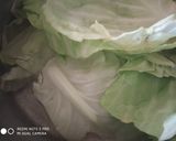 कैबेज सोया नगेट रोल (Cabbage soya nugget roll recipe in Hindi) रेसिपी चरण 2 फोटो