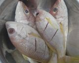 Foto langkah ke 1 dari resep Ikan kakap goreng kriuk.