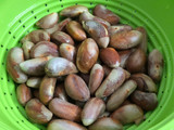 Spicy Jackfruit Seeds Roast – Kerala Style