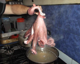 Foto del paso 1 de la receta: Pulpo a la parrilla