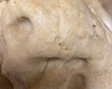 A picture of step 4 of Melon Mania with Chapati.
