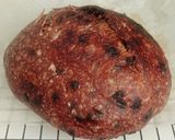 Foto langkah ke 19 dari resep Double Chocolate Sourdough Bread (86%).