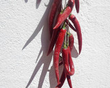 Foto del paso 5 de la receta: Pimientos secos