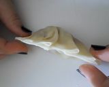 Foto del paso 6 de la receta: Gyoza