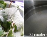 Foto del paso 1 de la receta: Dolmas {Hojas de Parra Rellenas}