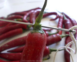 Foto del paso 3 de la receta: Pimientos secos