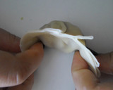 Foto del paso 7 de la receta: Gyoza