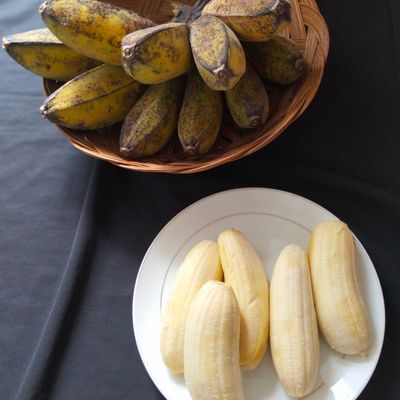 Langkah 1