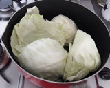 Foto del paso 1 de la receta: Col al pimentón