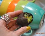 A picture of step 10 of Geode Chocolate Eggs.