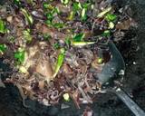 Foto langkah ke 3 dari resep Bihun goreng pedas.