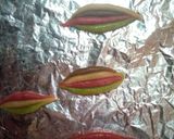 A picture of step 6 of Multi colour cookies.