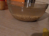 Tofu en casa