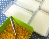 Foto langkah ke 2 dari resep Puding Saus Mangga.