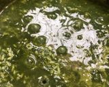 Foto del paso 3 de la receta: Arroz de espinaca
