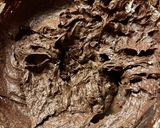 Foto del passaggio 5 della ricetta Torta quattro quarti con pere al vino rosso e cacao