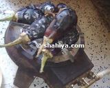 صورة لخطوة 1 من وصفة طريقة عمل سلطة باذنجان جزائرية