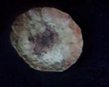 A picture of step 4 of Masala Khakhra.