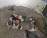 Foto langkah ke 4 dari resep 40. Sotong bumbu hitam.